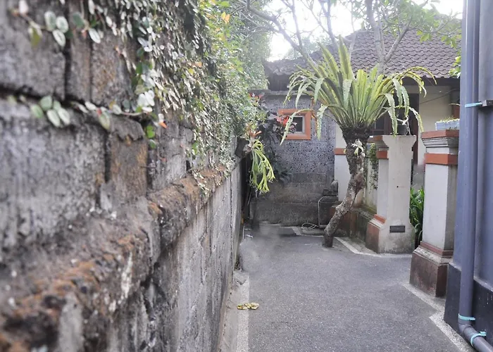 Dunung Sari * 乌布